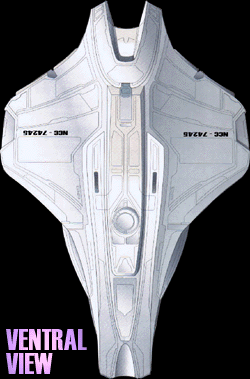 Scout Ventral View